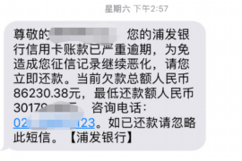 鄢陵融资清欠服务